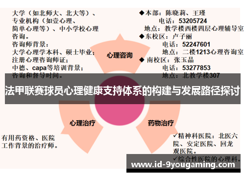 法甲联赛球员心理健康支持体系的构建与发展路径探讨