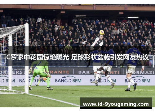 C罗家中花园惊艳曝光 足球形状盆栽引发网友热议