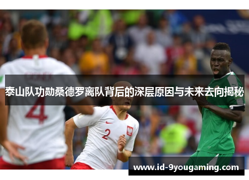 泰山队功勋桑德罗离队背后的深层原因与未来去向揭秘
