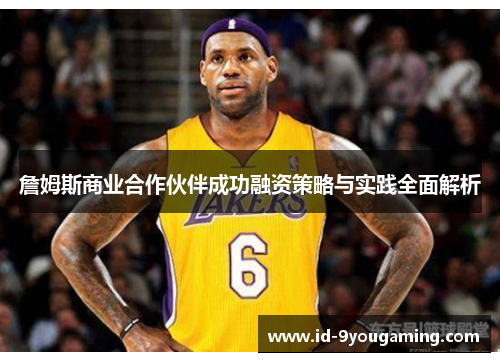 詹姆斯商业合作伙伴成功融资策略与实践全面解析 詹姆斯商业合作伙伴成功融资策略与实践全面解析