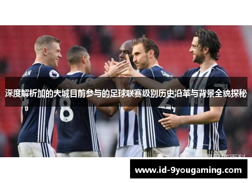 深度解析加的夫城目前参与的足球联赛级别历史沿革与背景全貌探秘