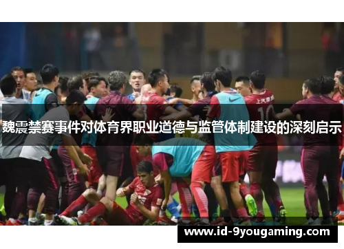 魏震禁赛事件对体育界职业道德与监管体制建设的深刻启示