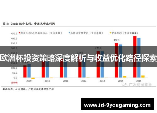 欧洲杯投资策略深度解析与收益优化路径探索